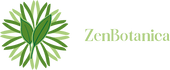 ZenBotanica – Начало
